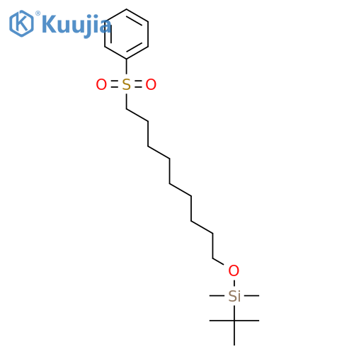 SILANE, (1,1-DIMETHYLETHYL)DIMETHYL[[9-(PHENYLSULFONYL)NONYL]OXY]- structure