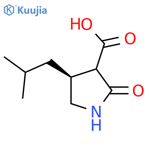 3-PYRROLIDINECARBOXYLIC ACID, 4-(2-METHYLPROPYL)-2-OXO-, (4S)- structure