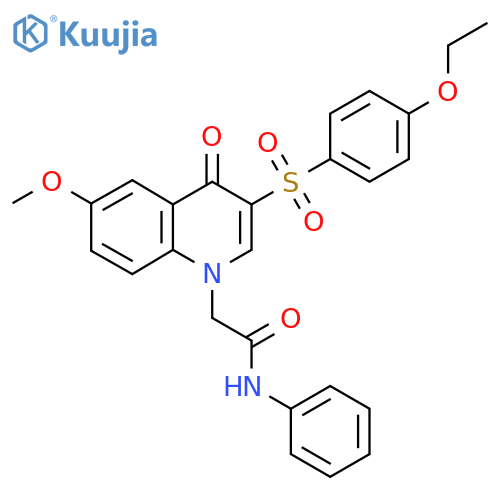 2-3-(4-ethoxybenzenesulfonyl)-6-methoxy-4-oxo-1,4-dihydroquinolin-1-yl-N-phenylacetamide structure