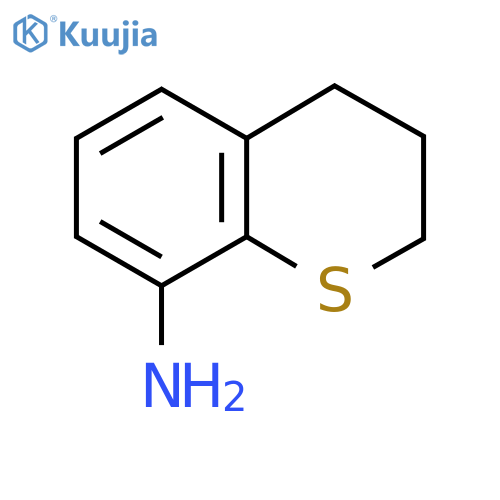 2H-1-Benzothiopyran-8-amine, 3,4-dihydro- structure