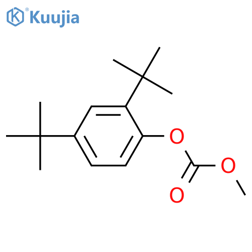 Carbonic Acid, 2,4-bis(1,1-diMethylethyl)phenyl Methyl ester structure