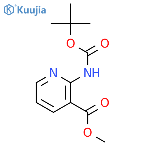2-tert-butoxycarbonylamino-nicotinic acid methyl ester structure