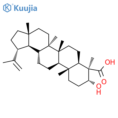 Lupeolic acid structure