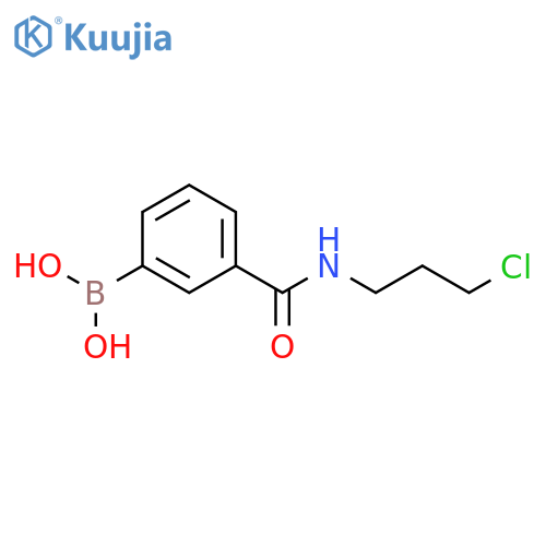 N-(3-Chloropropyl) 3-boronobenzamide structure