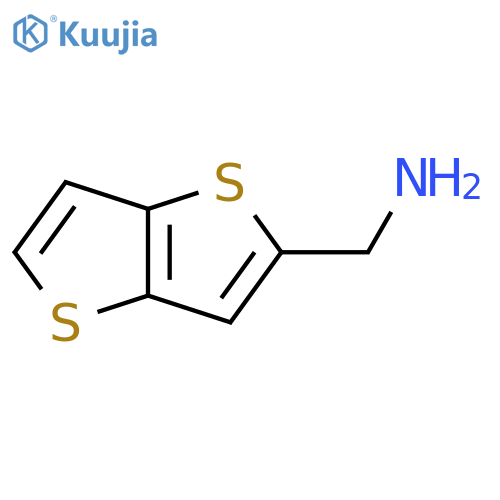 {thieno3,2-bthiophen-2-yl}methanamine structure