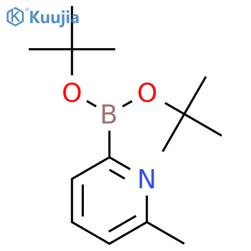 Boronic acid, (6-methyl-2-pyridinyl)-, bis(1,1-dimethylethyl) ester structure