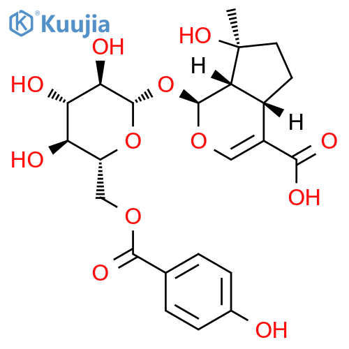 6'-(p-Hydroxybenzoyl)mussaenosidic acid structure