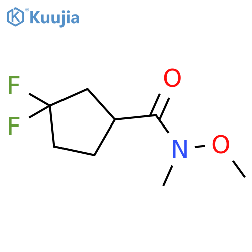 3,3-difluoro-N-methoxy-N-methylcyclopentane-1-carboxamide structure