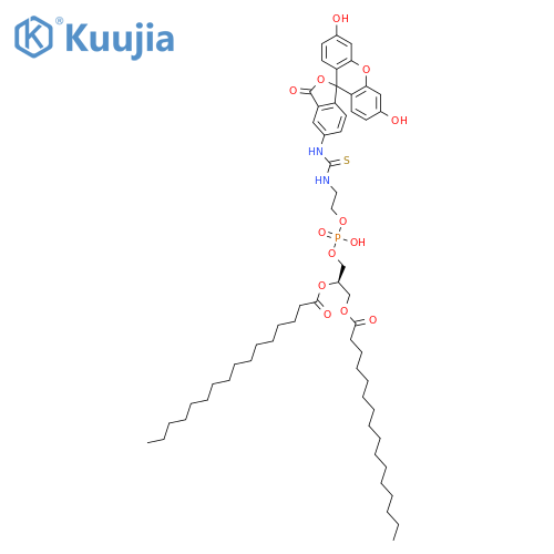 Fluorescein-Dipalmitoylphosphatidylethanolamine structure