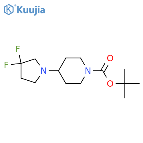 tert-Butyl 4-(3,3-difluoropyrrolidin-1-yl)piperidine-1-carboxylate structure