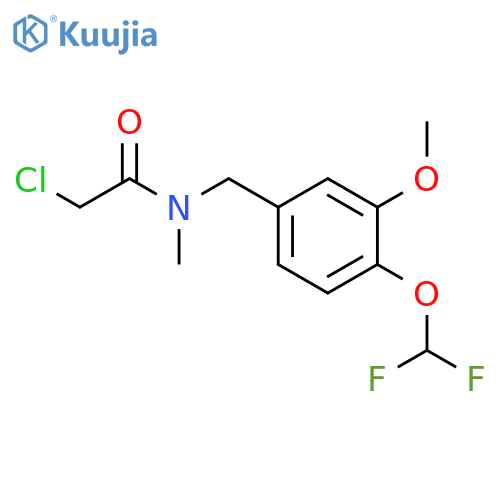 2-chloro-N-{4-(difluoromethoxy)-3-methoxyphenylmethyl}-N-methylacetamide structure