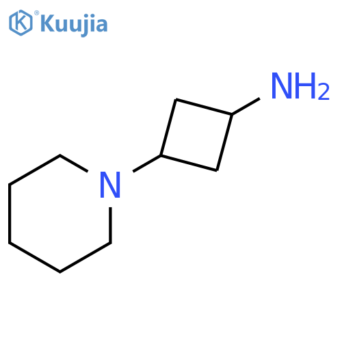 3-(piperidin-1-yl)cyclobutan-1-amine structure