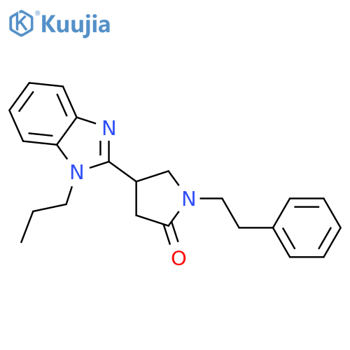 1-(2-phenylethyl)-4-(1-propyl-1H-1,3-benzodiazol-2-yl)pyrrolidin-2-one structure