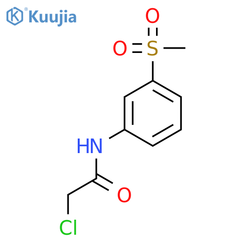 2-Chloro-N-(3-methanesulfonylphenyl)acetamide structure