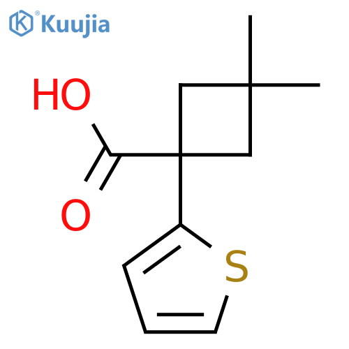 3,3-Dimethyl-1-(thiophen-2-yl)cyclobutane-1-carboxylic acid structure