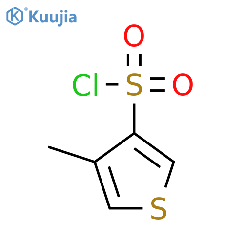4-methylthiophene-3-sulfonyl chloride structure