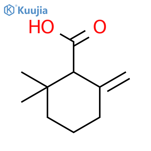 Cyclohexanecarboxylic acid, 2,2-dimethyl-6-methylene- structure