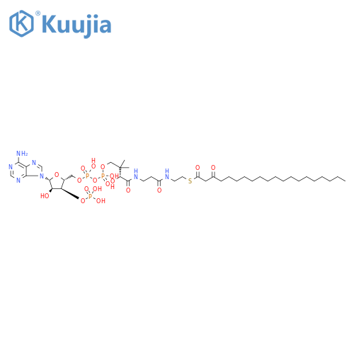 3-Oxoicosanoyl-CoA structure