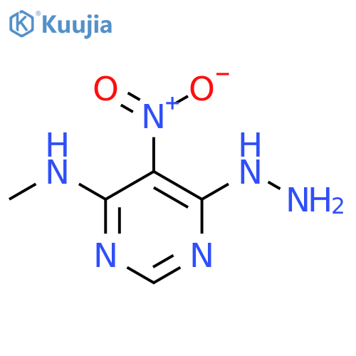 6-HYDRAZINYL-N-METHYL-5-NITROPYRIMIDIN-4-AMINE structure