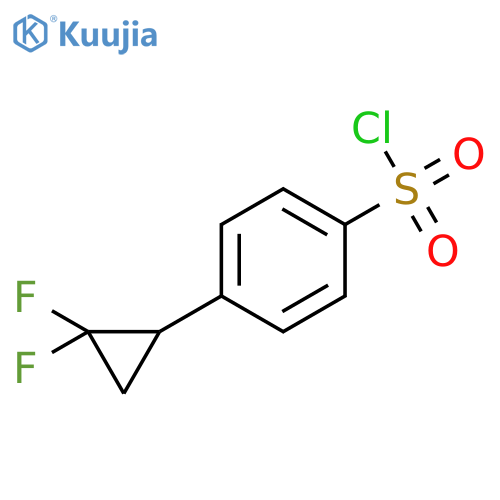 4-(2,2-difluorocyclopropyl)benzene-1-sulfonyl chloride structure
