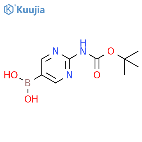 (2-((Tert-Butoxycarbonyl)amino)pyrimidin-5-yl)boronic acid structure