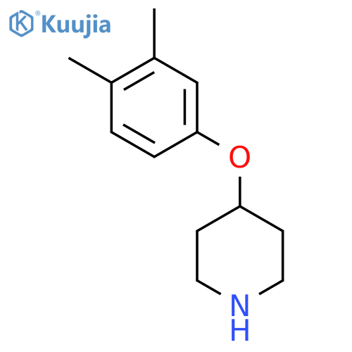 4-(3,4-dimethylphenoxy)piperidine structure