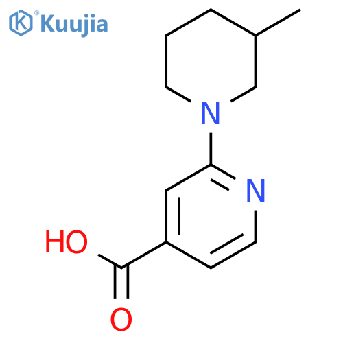 2-(3-methylpiperidin-1-yl)pyridine-4-carboxylic acid structure