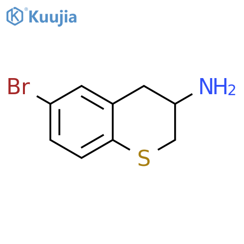 6-Bromo-Thiochroman-3-Ylamine structure