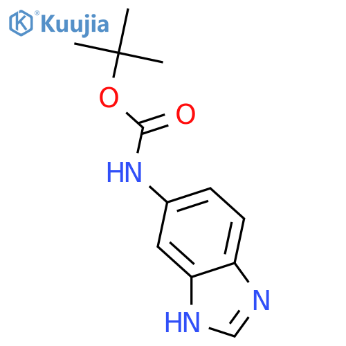 5-Boc-amino-benzoimidazole structure