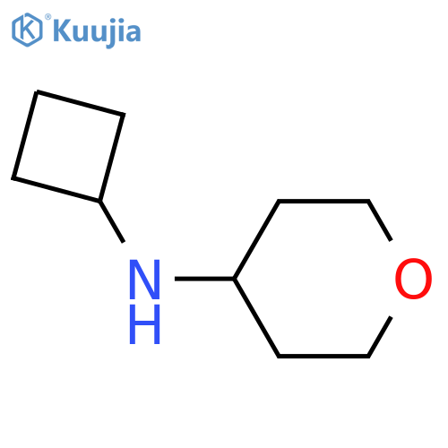 N-Cyclobutyl-tetrahydro-2H-pyran-4-amine structure