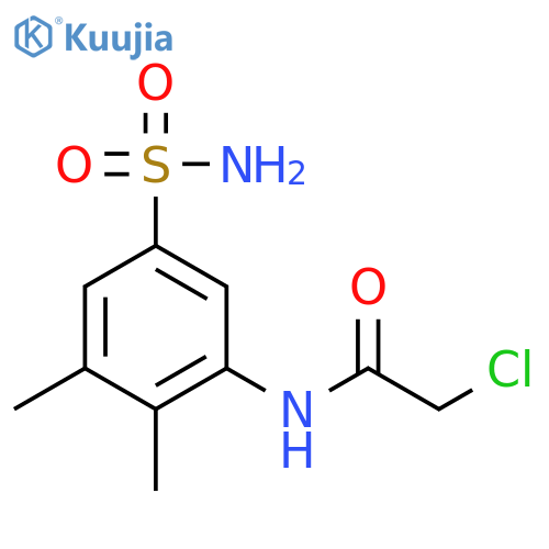 2-Chloro-N-(2,3-Dimethyl-5-Sulfamoylphenyl)Acetamide structure