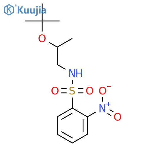 Benzenesulfonamide, N-[2-(1,1-dimethylethoxy)propyl]-2-nitro- structure