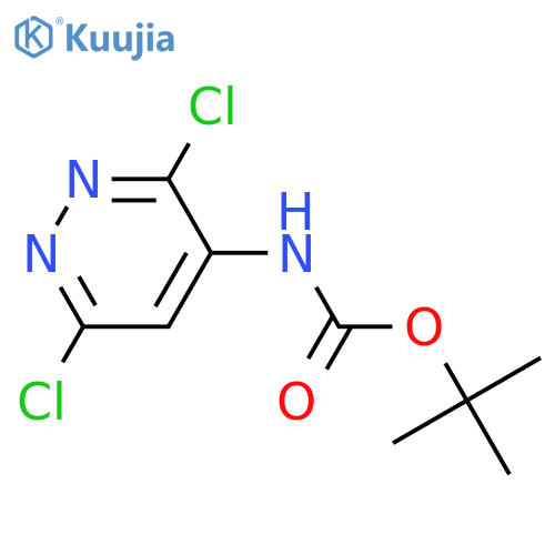 tert-butyl N-(3,6-dichloropyridazin-4-yl)carbamate structure