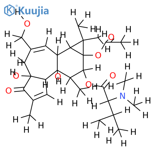 12-O-[(2R)-N,N-dimethyl-3-methylbutanoyl]phorbol 13-acetate structure