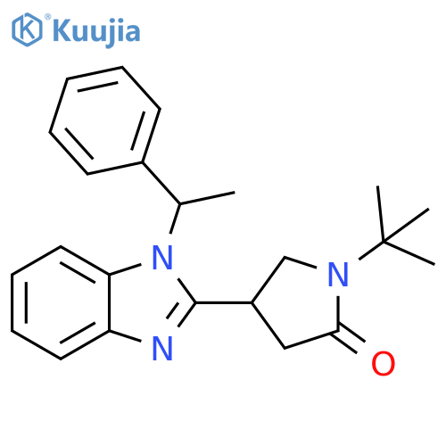 1-tert-butyl-4-1-(1-phenylethyl)-1H-1,3-benzodiazol-2-ylpyrrolidin-2-one structure