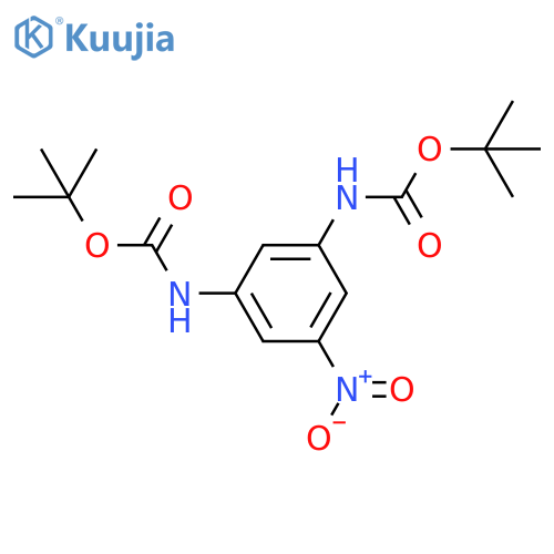 3-t-But-(oxycarboxylamino-5-nitrophenyl) carbamic acid t-butyl ester structure