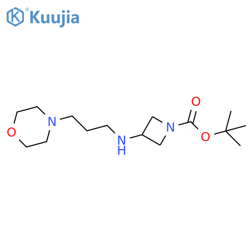 1-Azetidinecarboxylicacid, 3-[[3-(4-morpholinyl)propyl]amino]-, 1,1-dimethylethyl ester structure