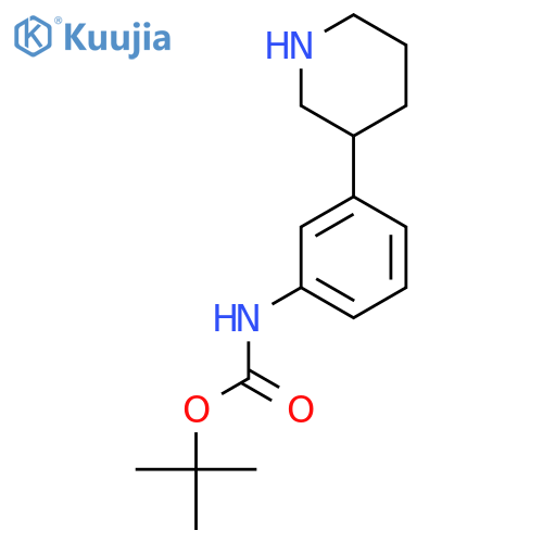 tert-butyl N-3-(piperidin-3-yl)phenylcarbamate structure