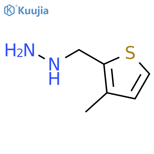 (3-methylthiophen-2-yl)methylhydrazine structure