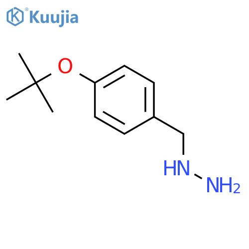1-(4-tert-butoxybenzyl)hydrazine structure