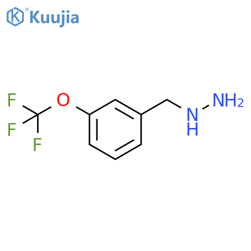 {[3-(trifluoromethoxy)phenyl]methyl}hydrazine structure