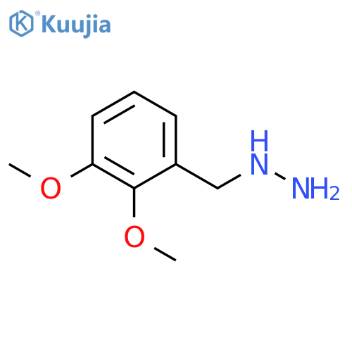 (2,3-dimethoxyphenyl)methylhydrazine structure