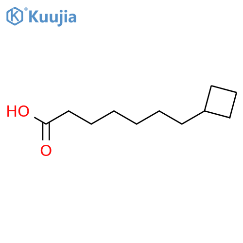 Cyclobutaneheptanoic acid structure