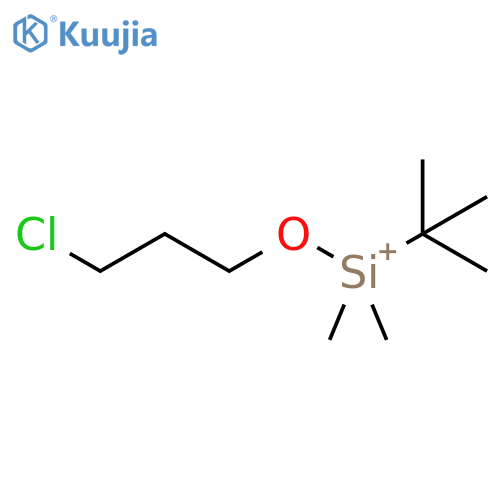 Tert-Butyl(3-chloropropoxy)dimethylsilane structure