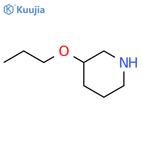 3-Propoxypiperidine structure
