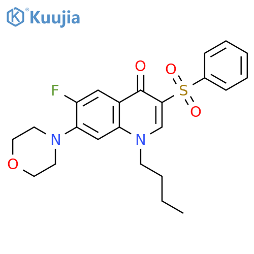 3-(benzenesulfonyl)-1-butyl-6-fluoro-7-(morpholin-4-yl)-1,4-dihydroquinolin-4-one structure
