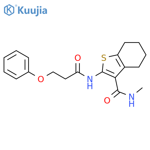 N-methyl-2-(3-phenoxypropanamido)-4,5,6,7-tetrahydro-1-benzothiophene-3-carboxamide structure