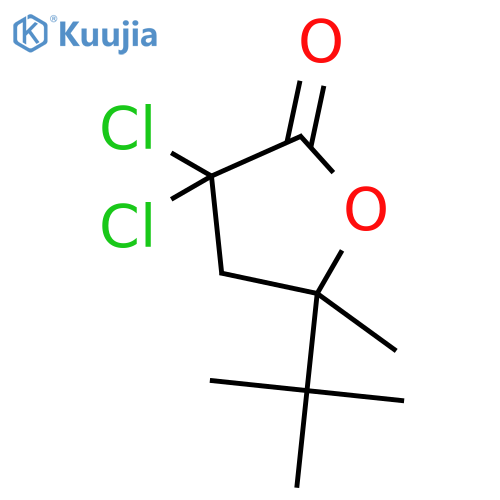 2(3H)-Furanone, 3,3-dichloro-5-(1,1-dimethylethyl)dihydro-5-methyl- structure