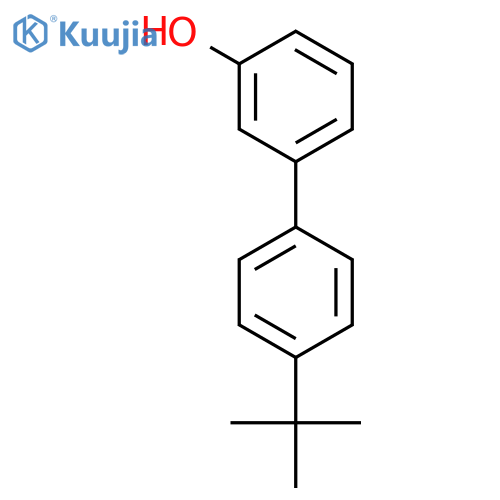 3-(4-tert-butylphenyl)phenol structure