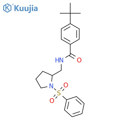 N-{1-(benzenesulfonyl)pyrrolidin-2-ylmethyl}-4-tert-butylbenzamide structure
